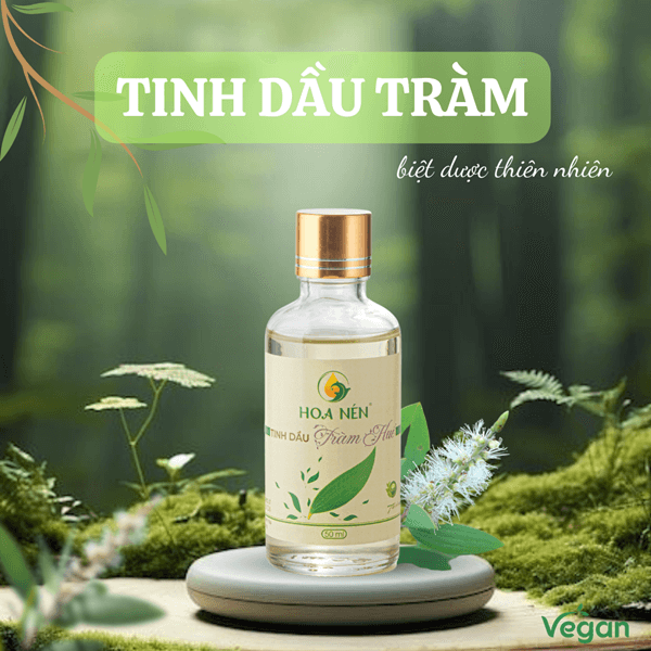 Hình thu nhỏ